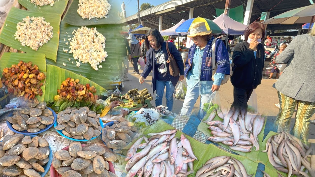 สุดยอดของป่า #ตลาดนัดไทย-ลาว อ.ธาตุพนม จ.นครพนม ไข่มดแดง ปลาน้ำโขง ปูแดง หอย #food 