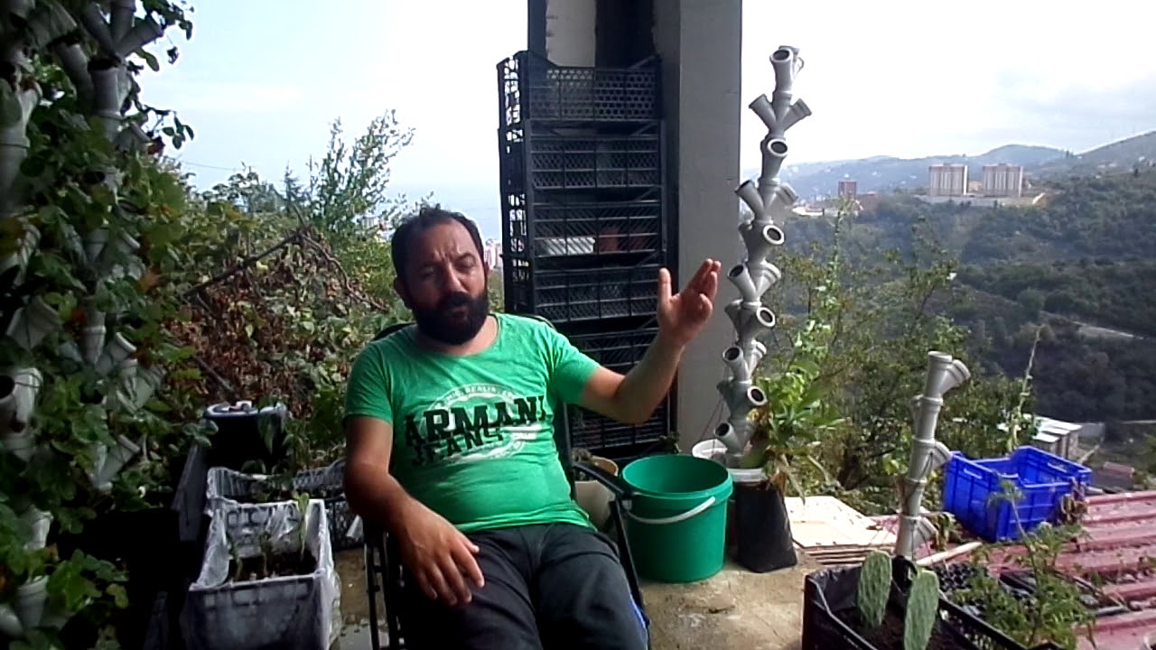 Tüye Giren Güvercin Uçurulursa Neler Olur