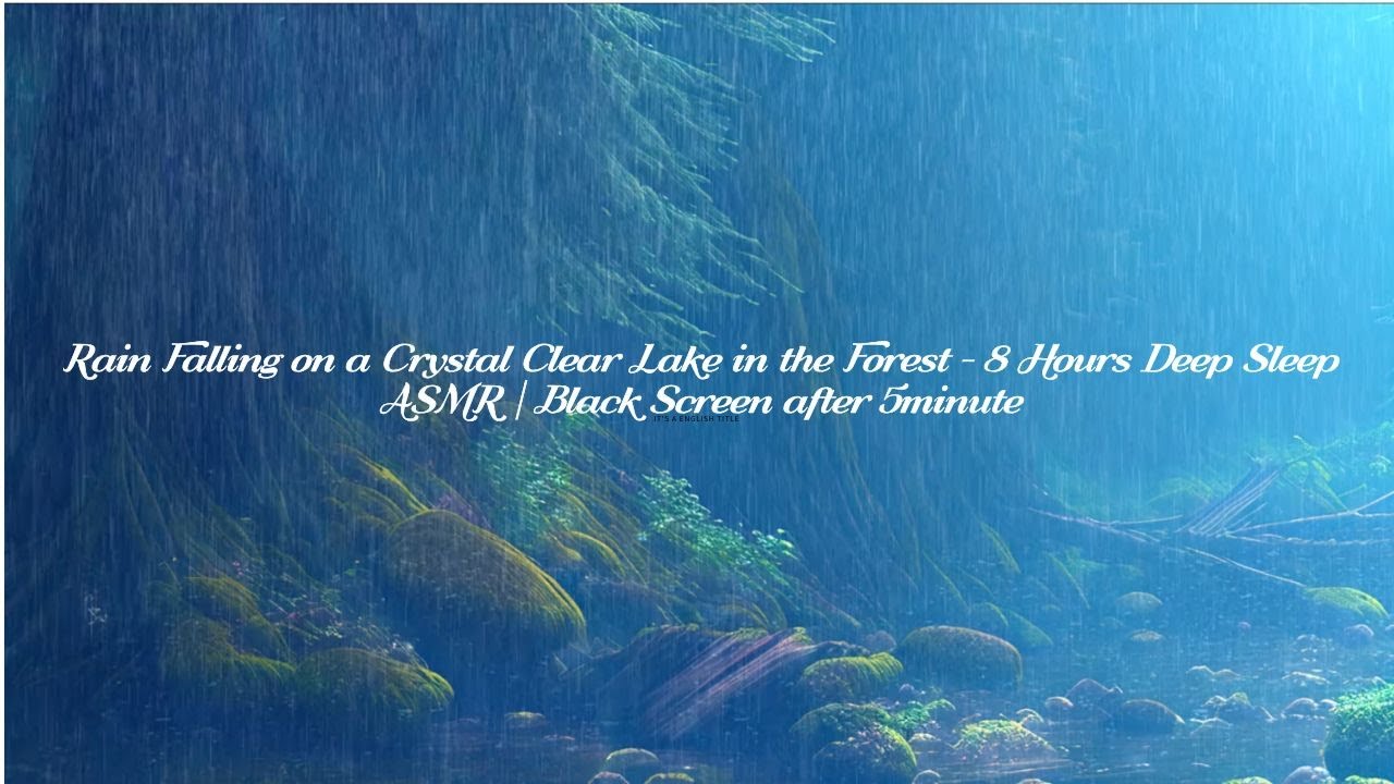 Rain Sounds in the Forest - 8 Hours Deep Sleep ASMR | Peaceful Nature Sounds| BlackScreen after 5min