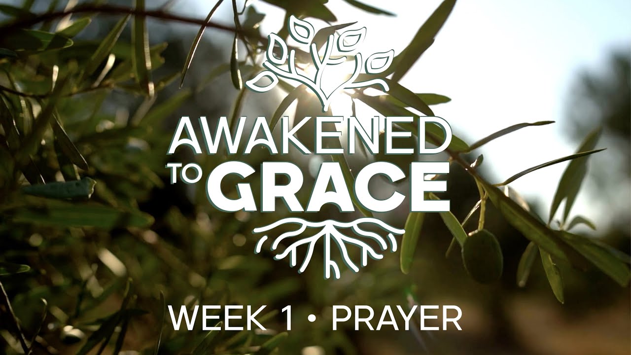 February 1, 2026 | 4th SUNDAY AFTER THE EPIPHANY