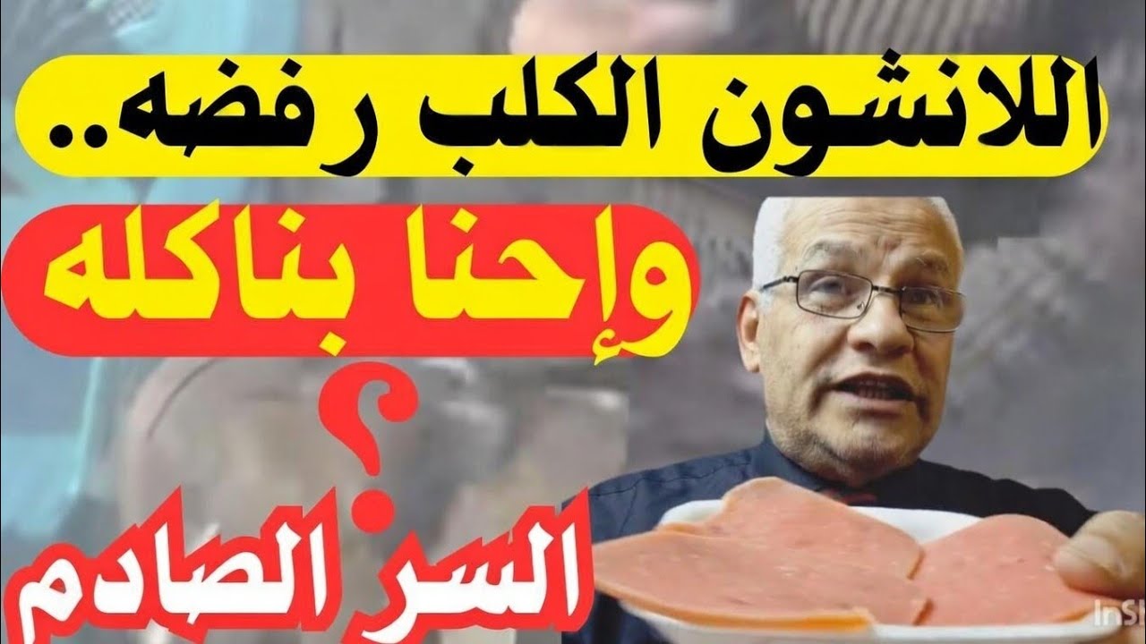🐕الكلب رفض ياكل اللانشون؟ الحقيقة التي أخفوها..🐶.. الحقيقة أخطر بكتير عن اللانشون🐕‍🦺