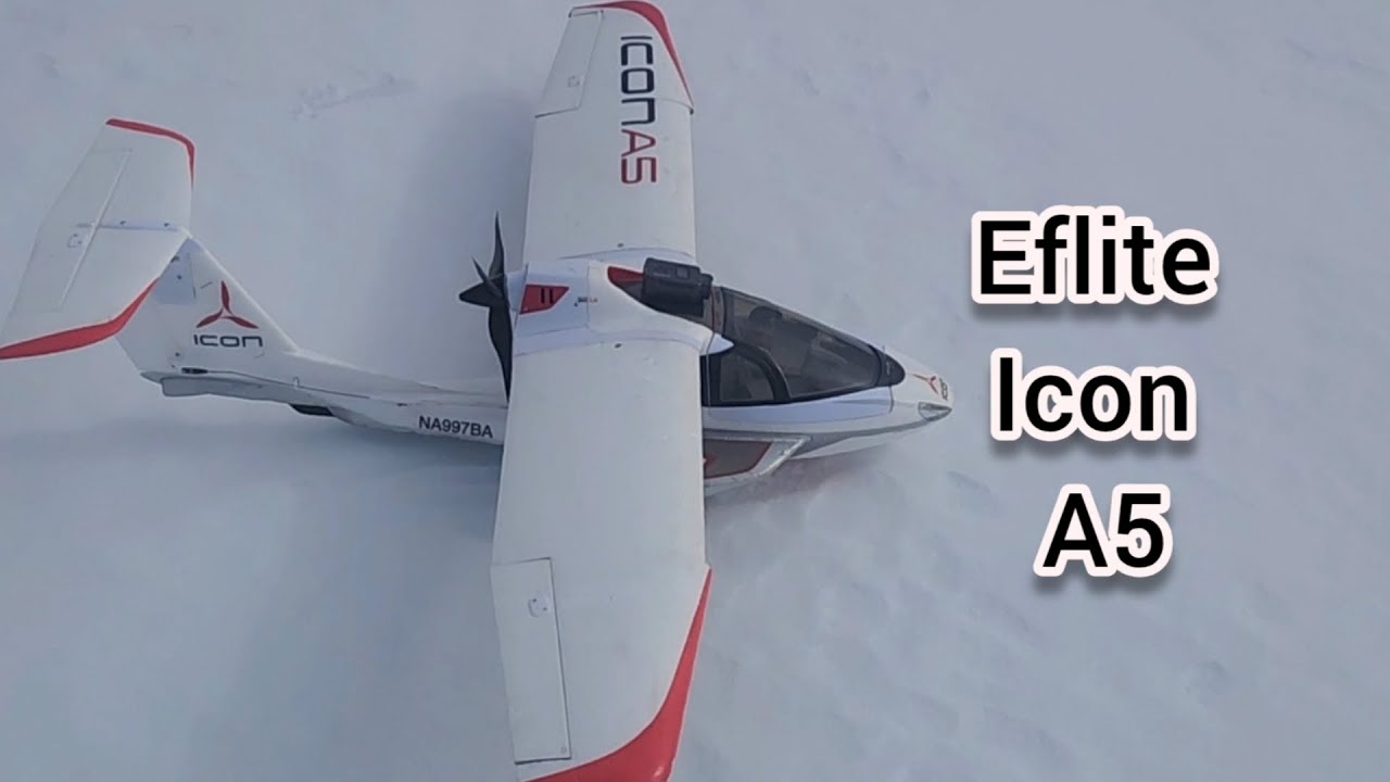 Eflite icon A5 snow ops 