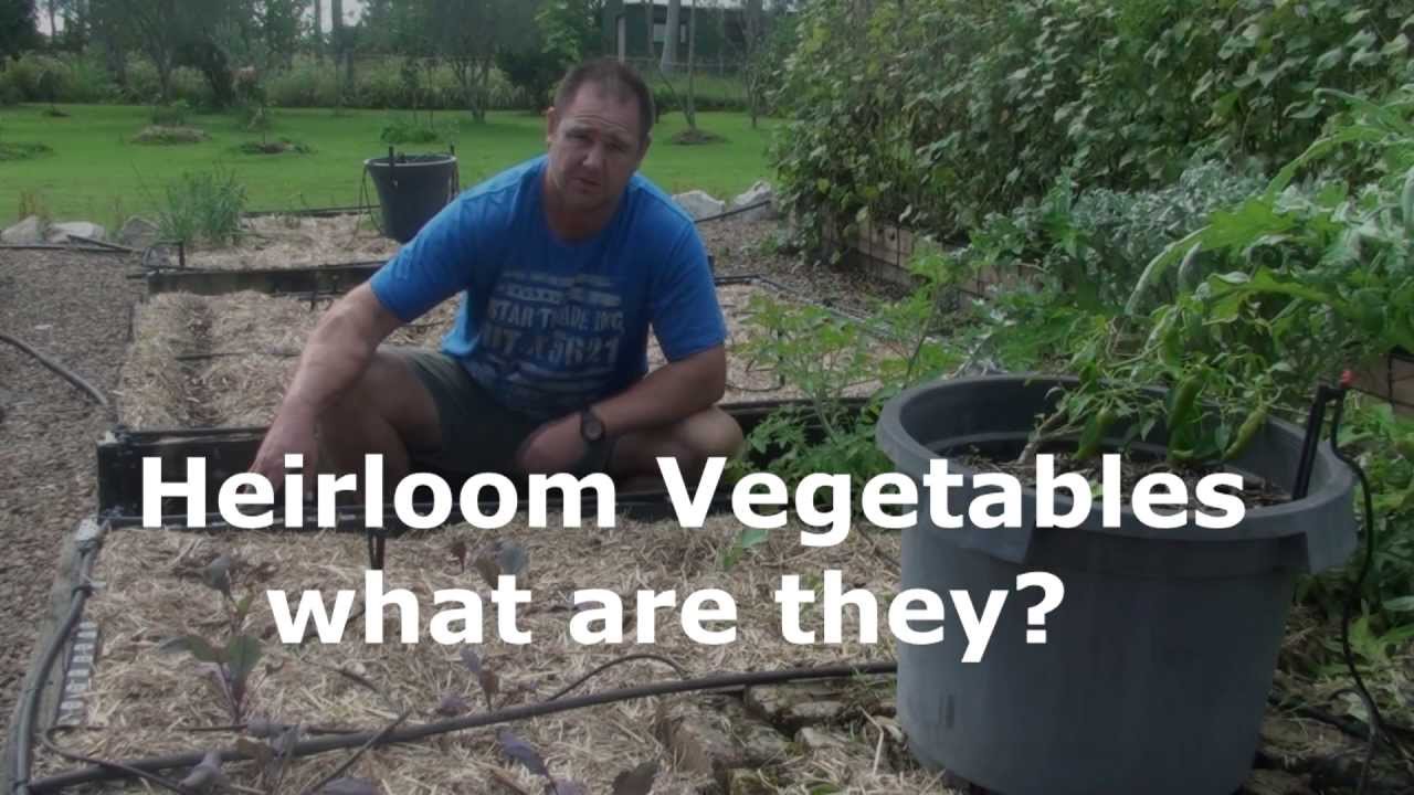 Heirloom Vegetables what are they?