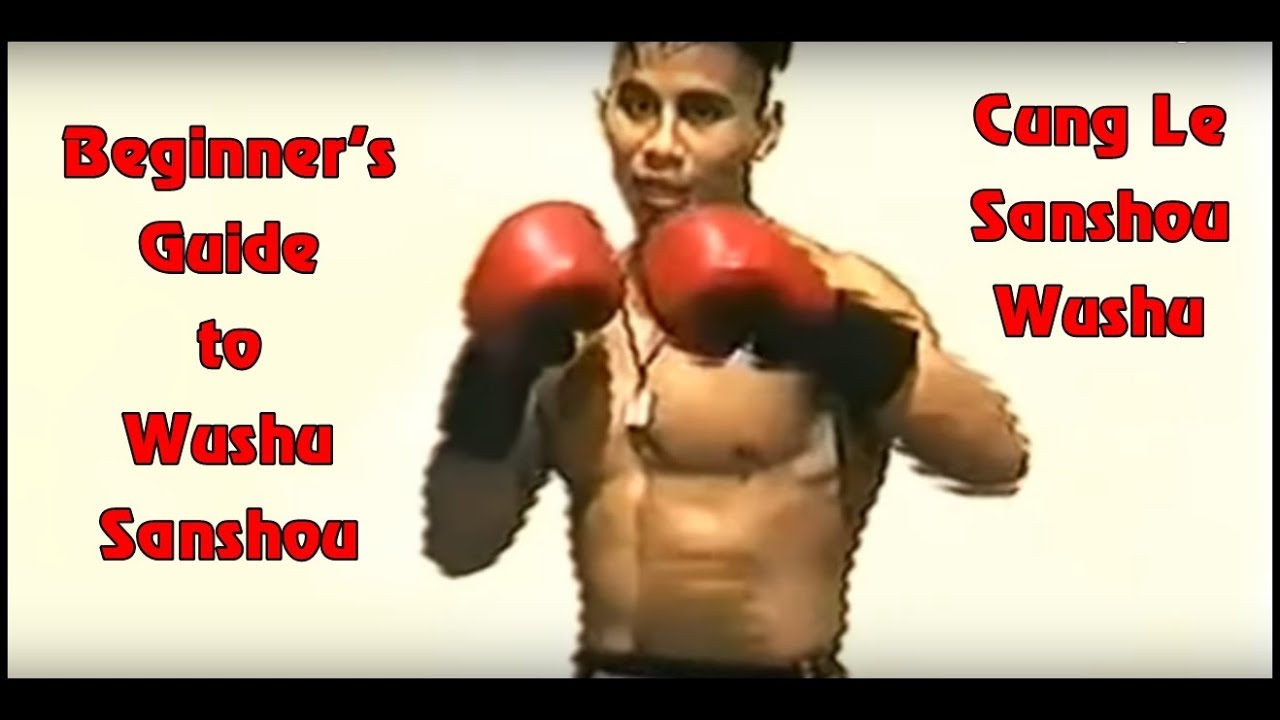 Beginner's Guide to Wushu Sanshou|| Counter Kick And Punch|| Cung Le Sanshou Wushu