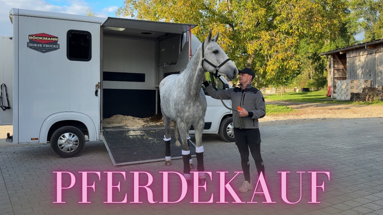 MEIN NEUES PFERD - ich hole mein neues Pferd ab! 🚛🐴