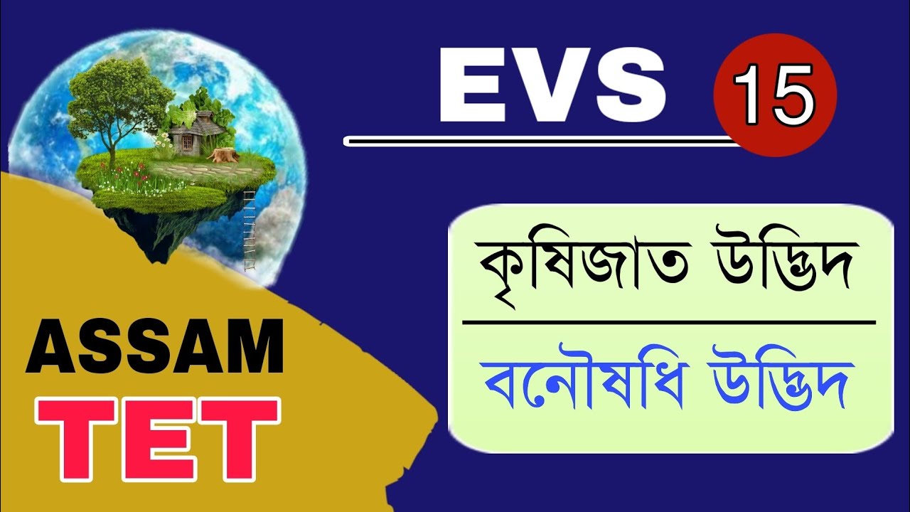 Assam TET 2021 || Cultivated Plants and Medicinal Plants || Environmental Studies || Video 15