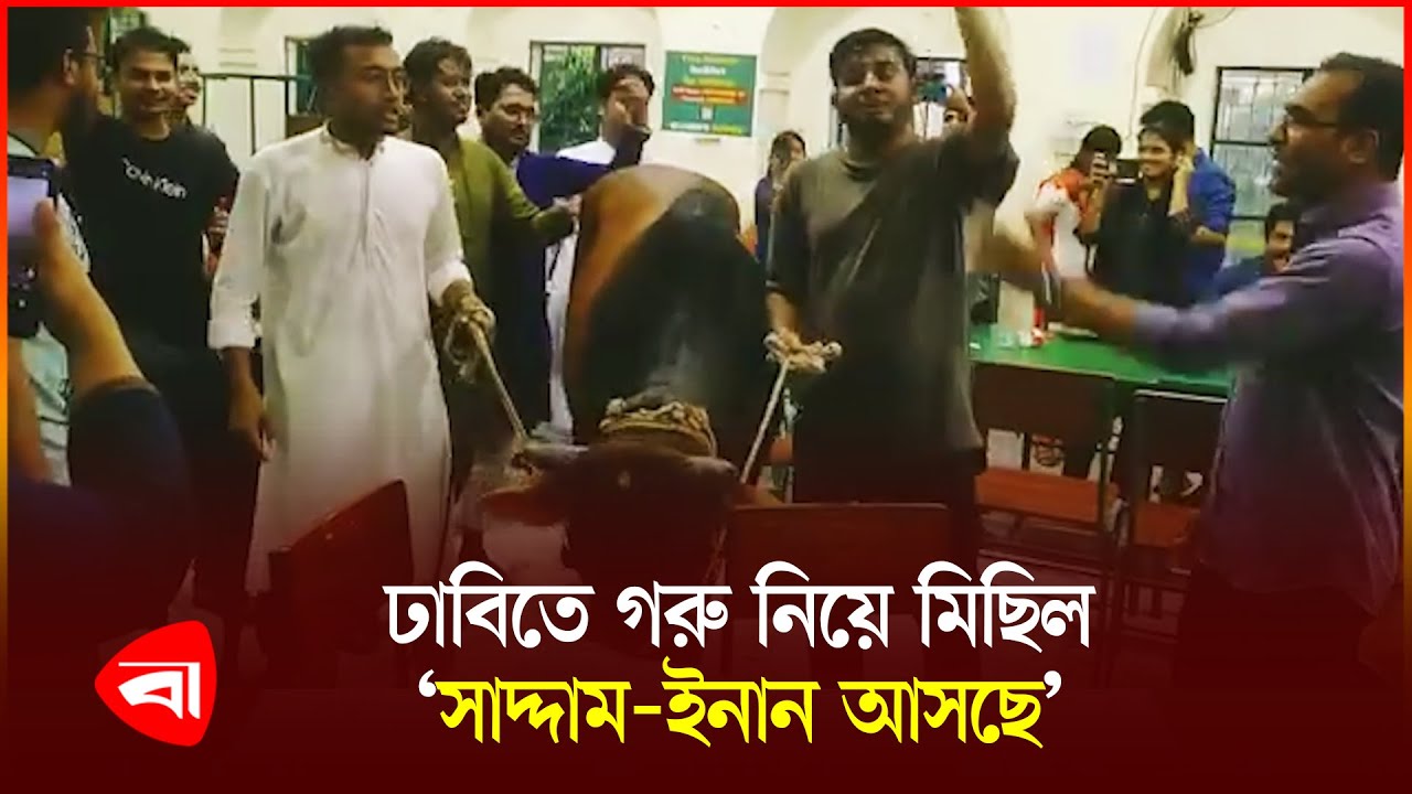 ছাত্রলীগ নিষিদ্ধের ঘোষণায় আনন্দ উচ্ছ্বাস | Chatra League Banned | Dhaka University | PB