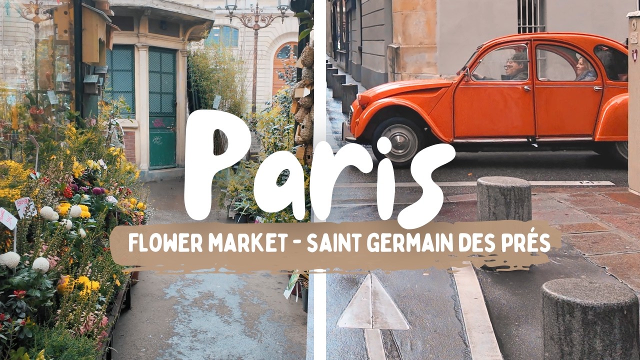 12 february 2026 I Walk with a local I Île de la Vité to Saint Germain des Prés 🤎 POV 4K