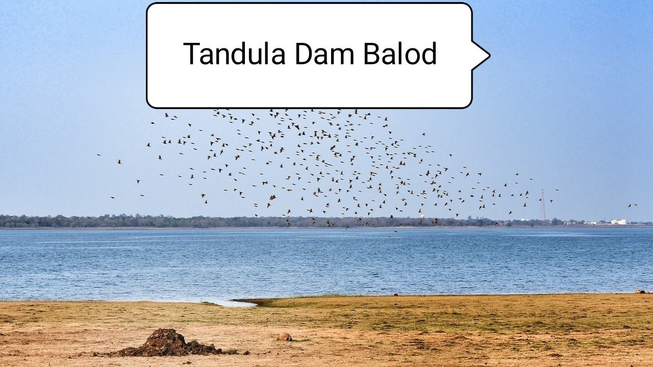 Tandula Dam Balod // Chhattisgarh #TandulaDamBalod