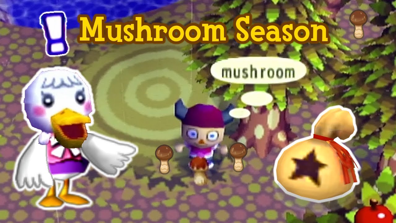 Can I pay off my debts by only selling Mushrooms? (Animal Crossing Mushroom Challenge)