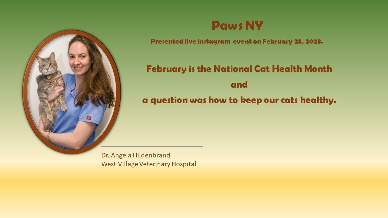 How to keep your cat healthy? with Dr. Angela Hildenbrans - event by PAWS NY.