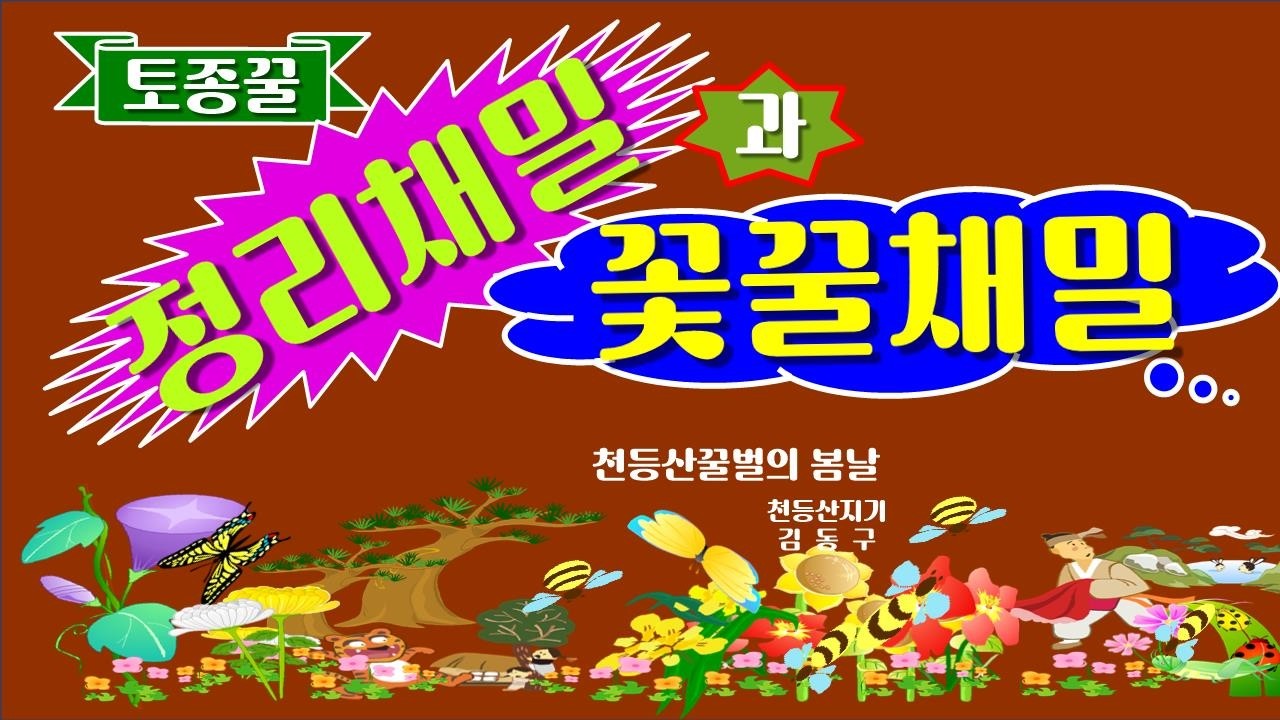 토종벌 2번의 정리채밀과 쏲꿀채밀 방법