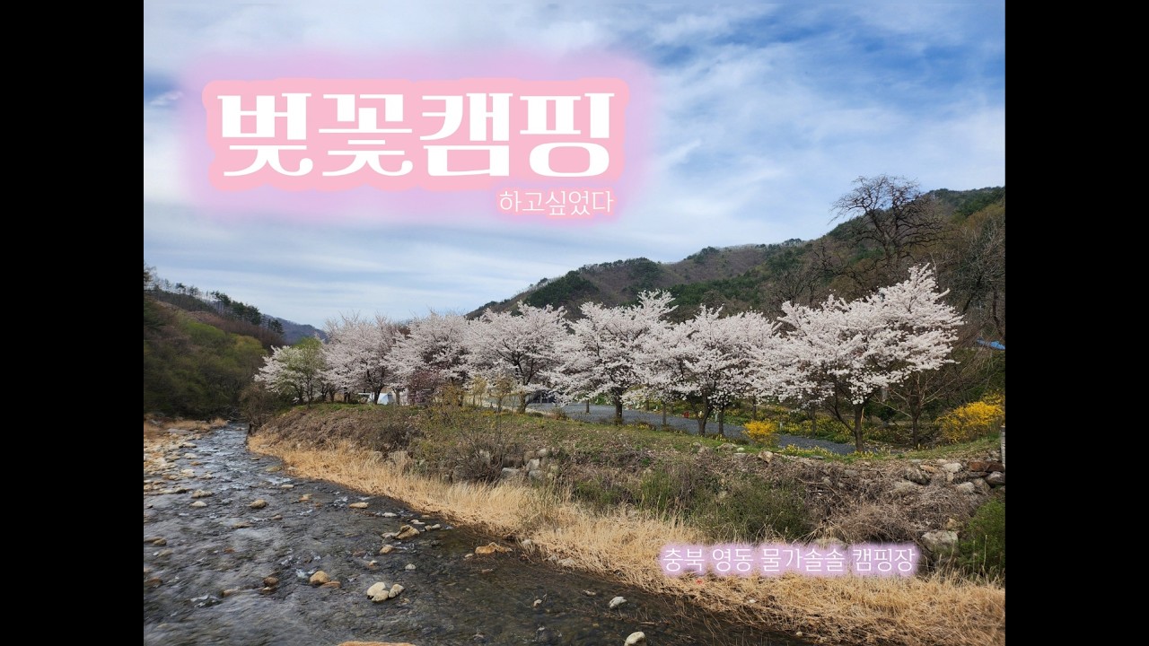 계곡캠핑장 중 가장 관리 잘되는 캠핑장 추천 l 봄캠핑 l 벚꽃캠핑실패