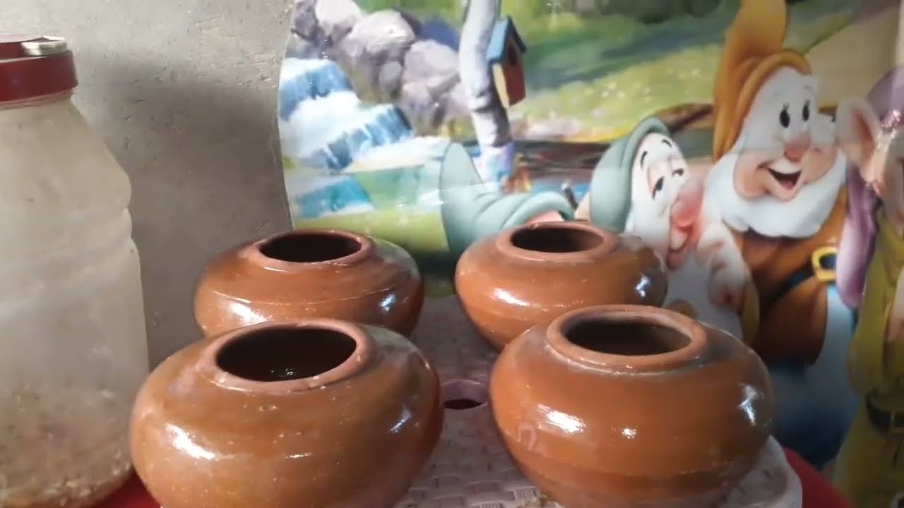 فوائد الحلبة الخضراء مع البقدونس والشبت والكزبرة 🌿 | طريقة التحضير الصحيحة وفوائد لا تتوقعها