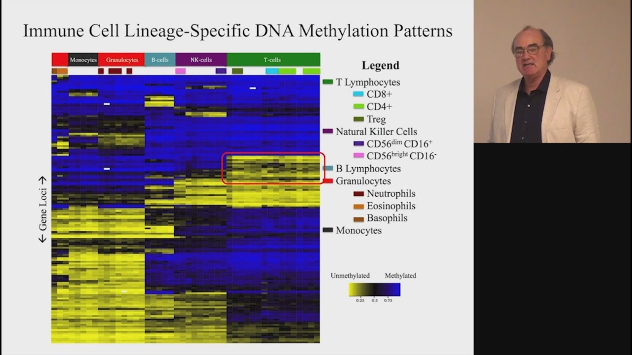 Methylation-Specific Droplet Digital&trade; PCR to Study Immune Cell Subtypes