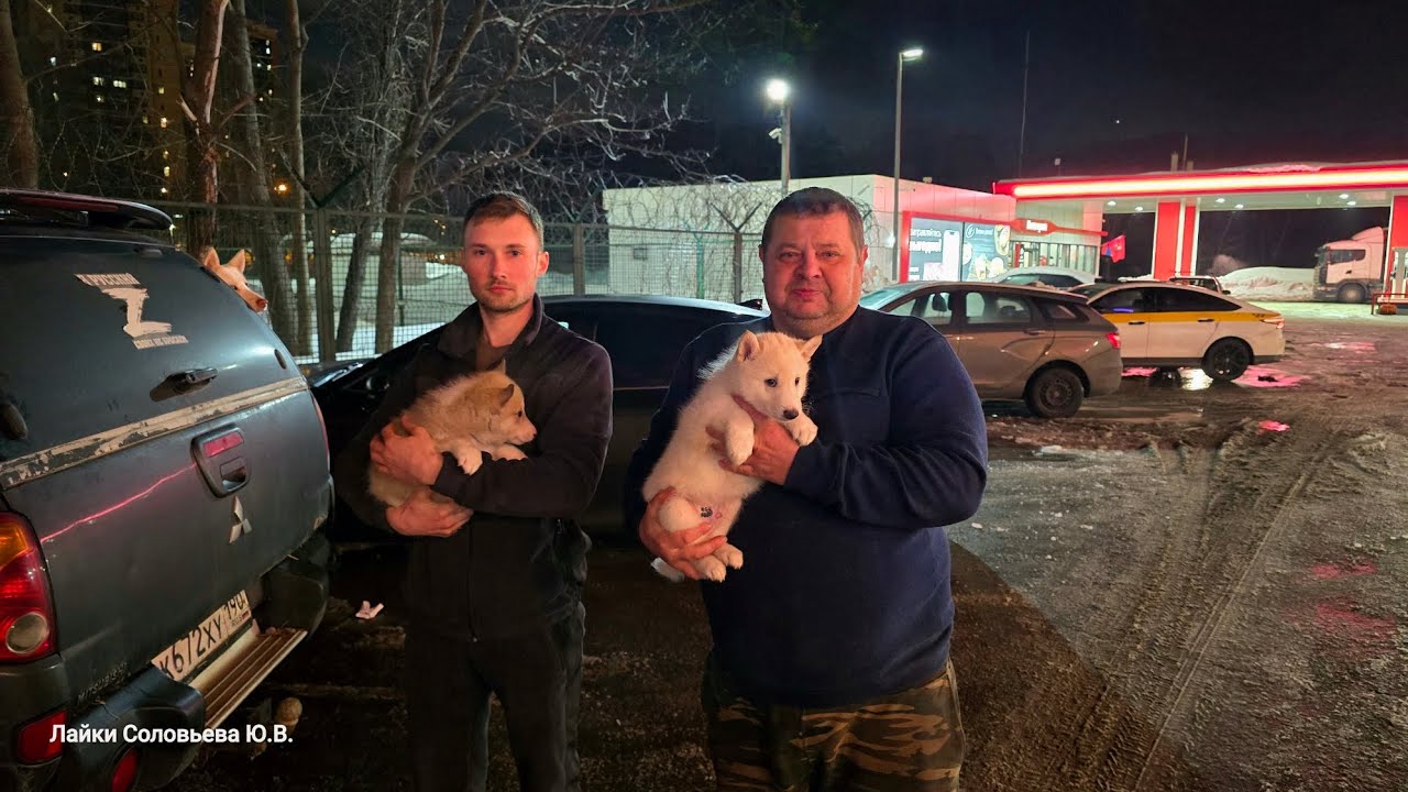 Встреча щенков в Москве 