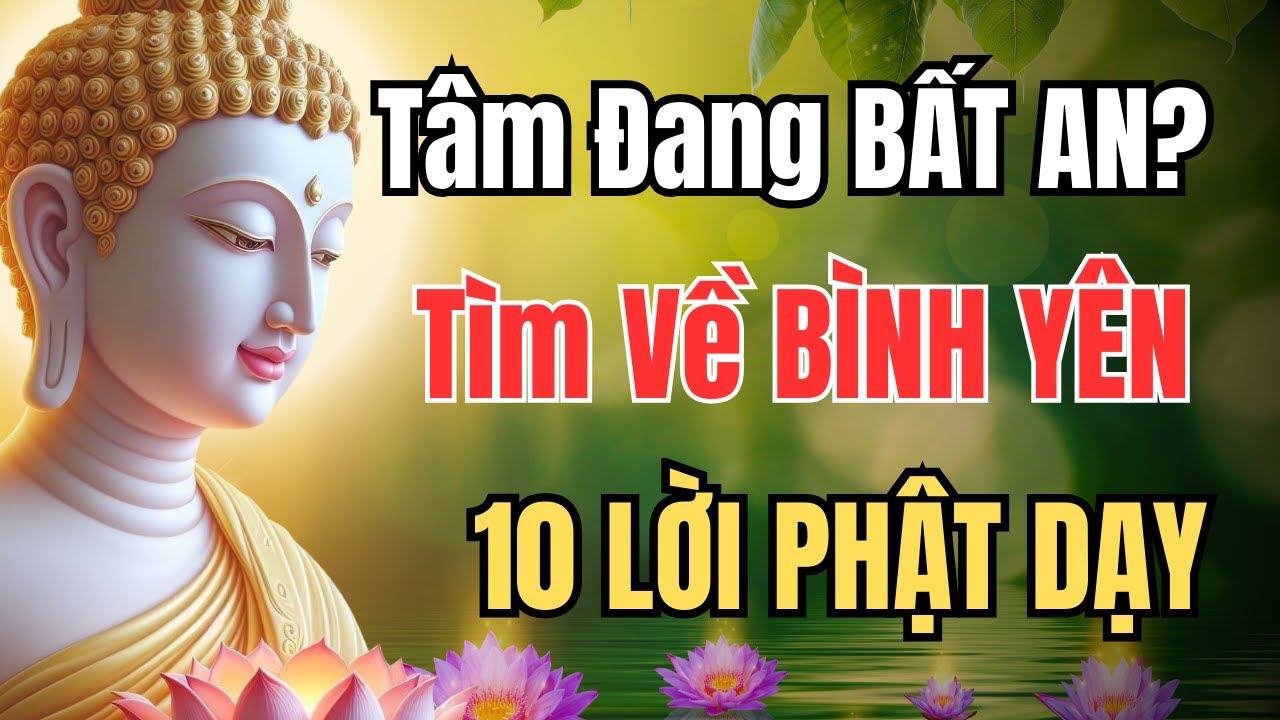 Nếu Bạn Đang Sợ Hãi, Hãy Nghe Video Này: 10 Bài Học Về Lòng Can Đảm Từ Đức Phật