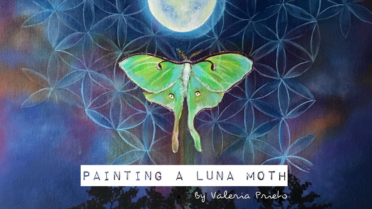 Painting a Luna Moth 🎨 Pintando una polilla Luna