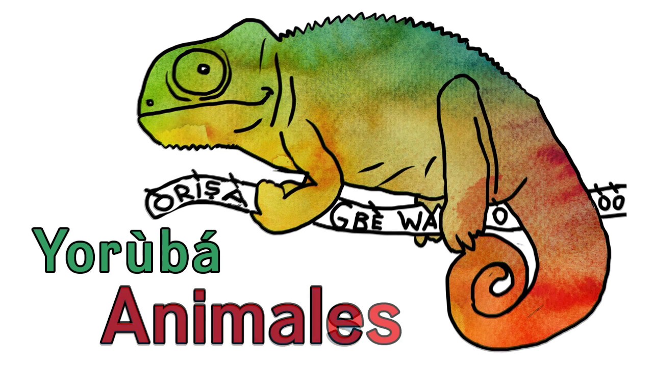 Yorùbá and Lukumí Animal Names