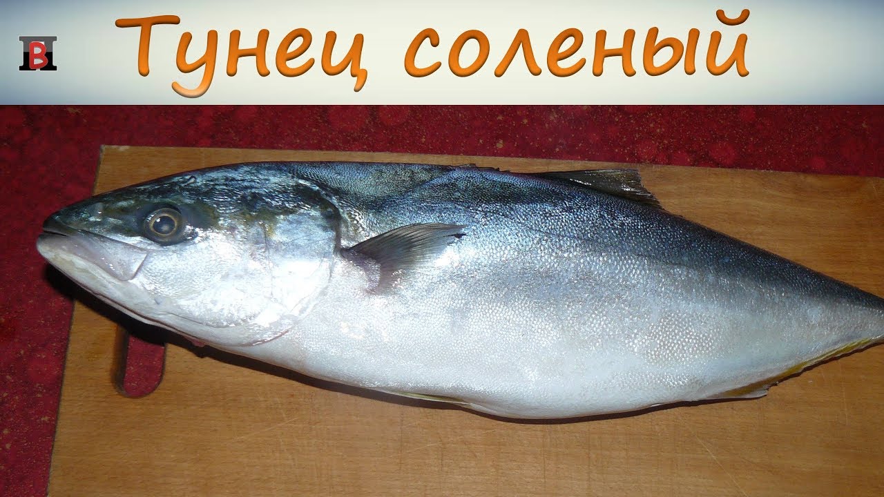 Тунец соленый. Вкуснее соленой скумбрии. Самый простой рецепт.