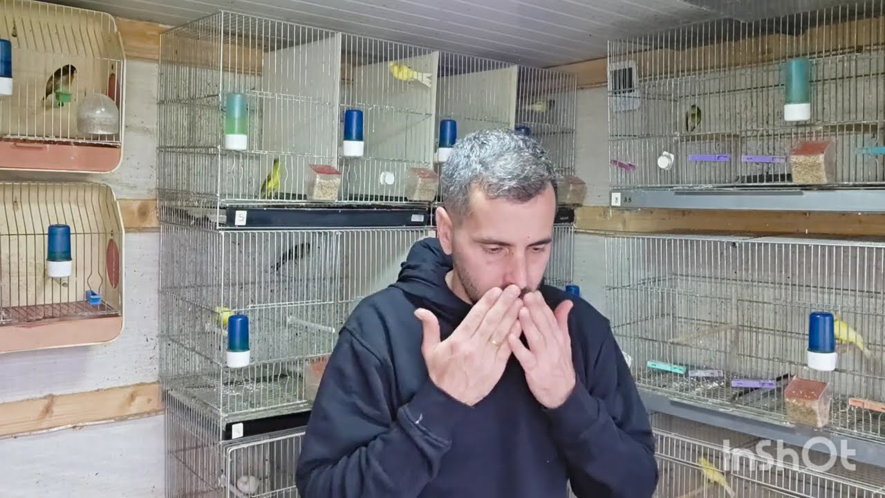 Hoy hablamos del ACEITE DE COCO para nuestro pajaros🐦🐦🕊🕊