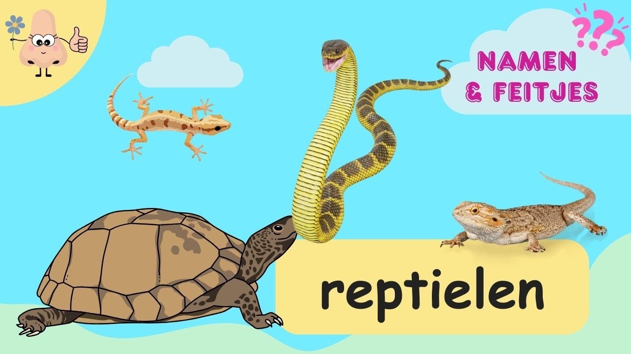 Reptielen Leren &ndash; Woordenschat voor Peuters & Kleuters