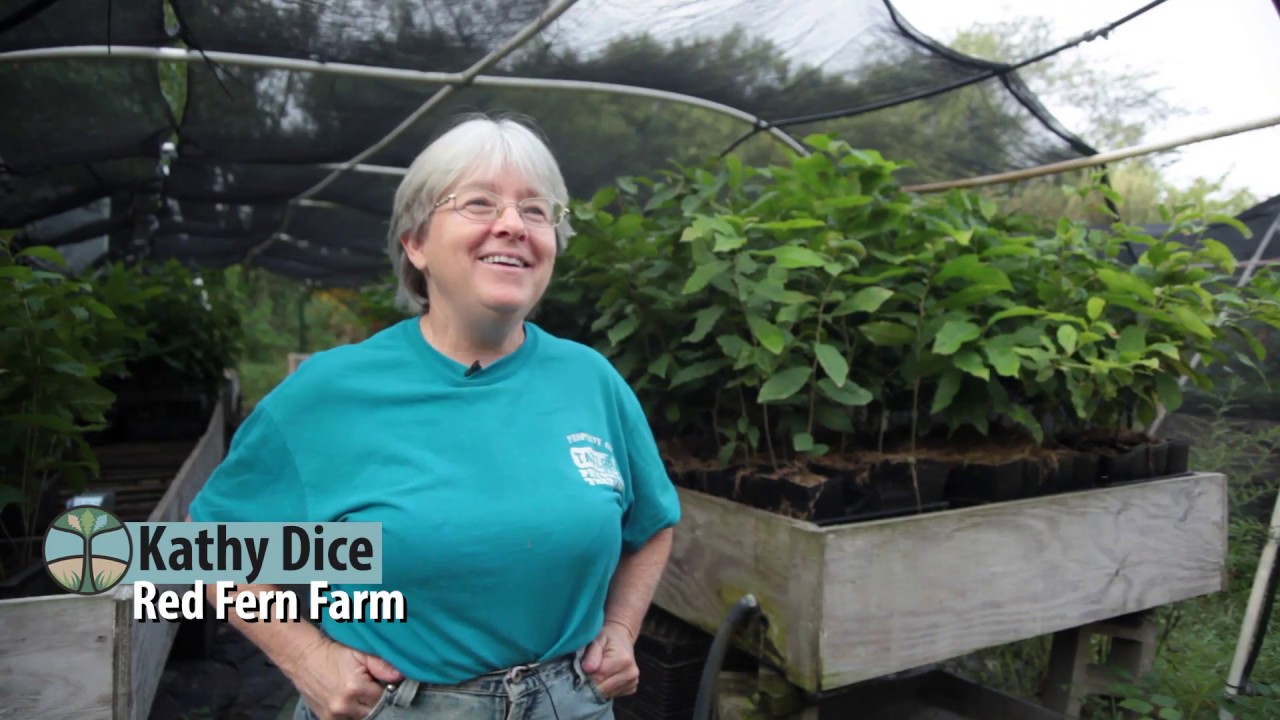 Red Fern Farm - Agroforestry Farm Tour Video Series