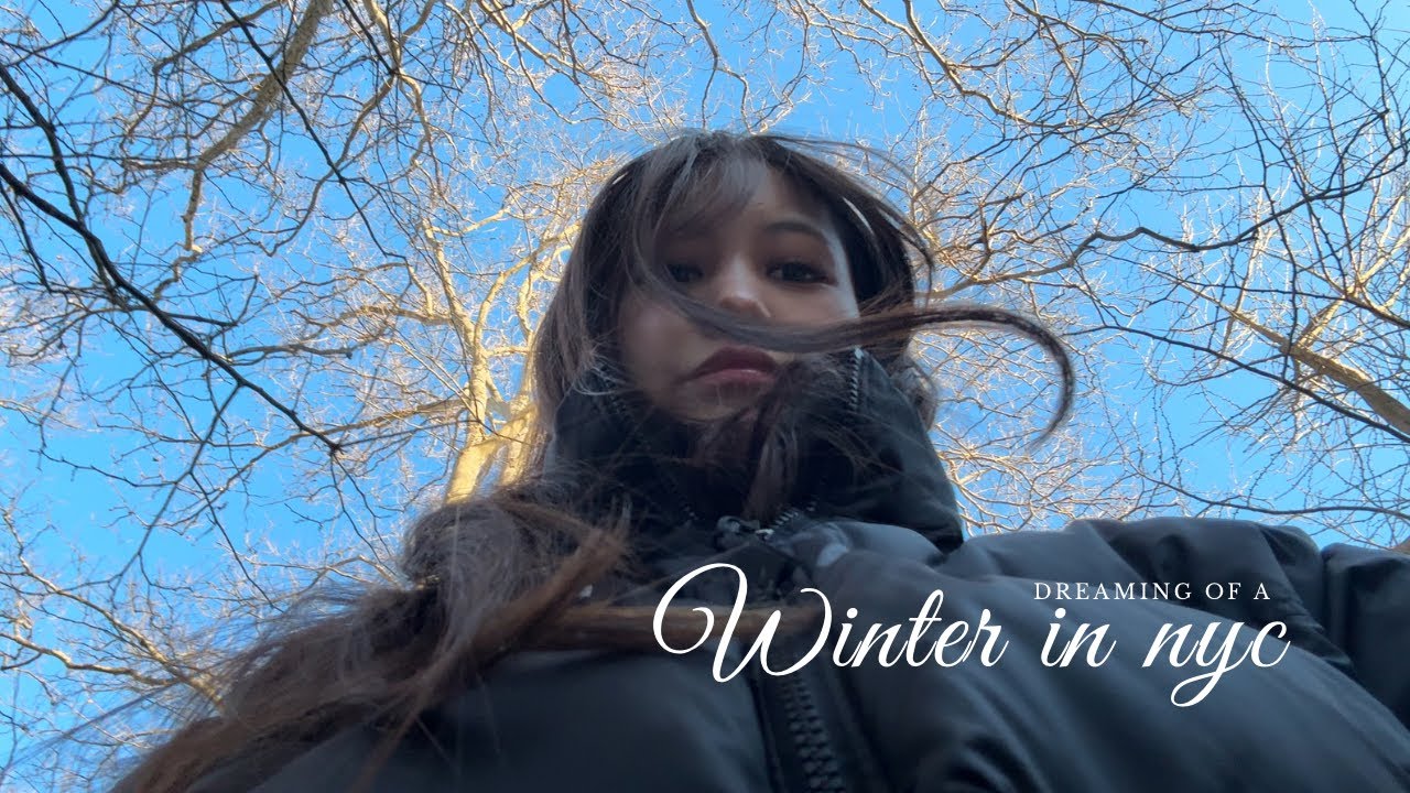 winter in nyc | family, games, exploring cafes 🍵🇺🇸 #tibetan #internationalstudent 