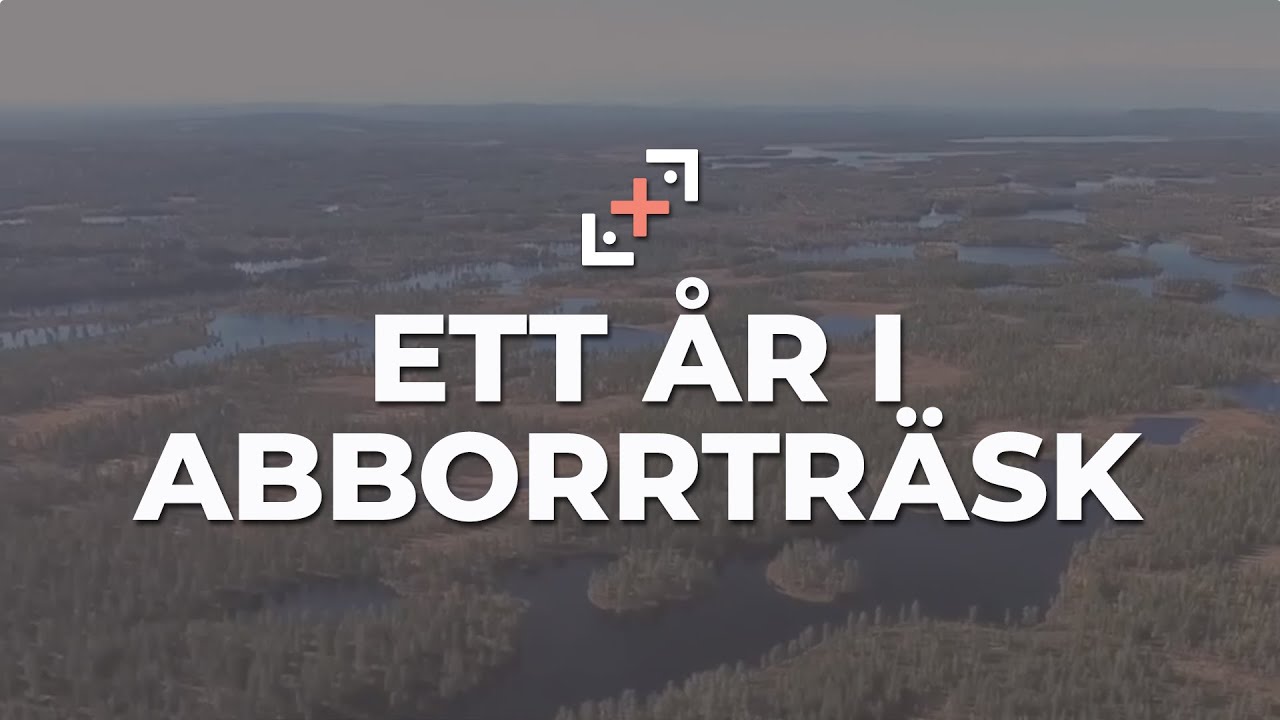 Ett år i Abborrträsk