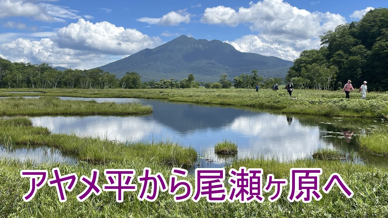 尾瀬　鳩待峠～アヤメ平～尾瀬ヶ原周回