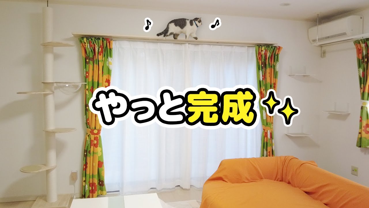 【DIY】夢のキャットウォーク部屋が完成しました！～設計士さんありがとう～