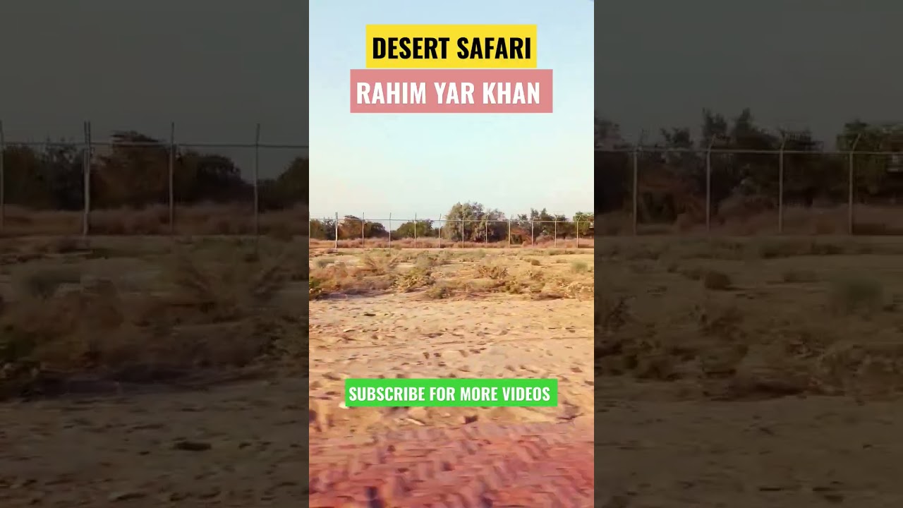Desert Safari Rahim Yar Khan 