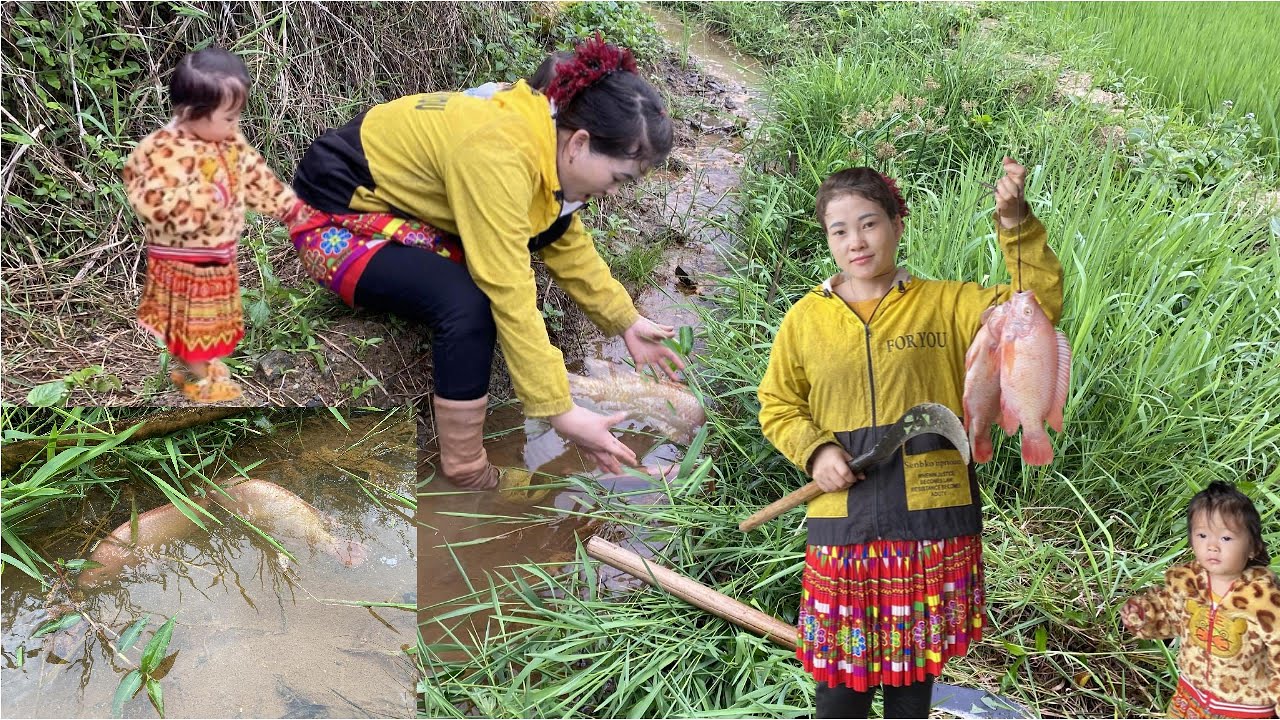 Mother and Son Went Weeding and Unexpectedly Caught a Huge Fish