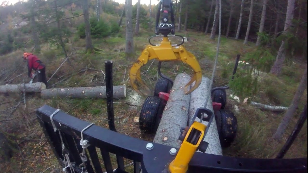 A Day of logging with dad!