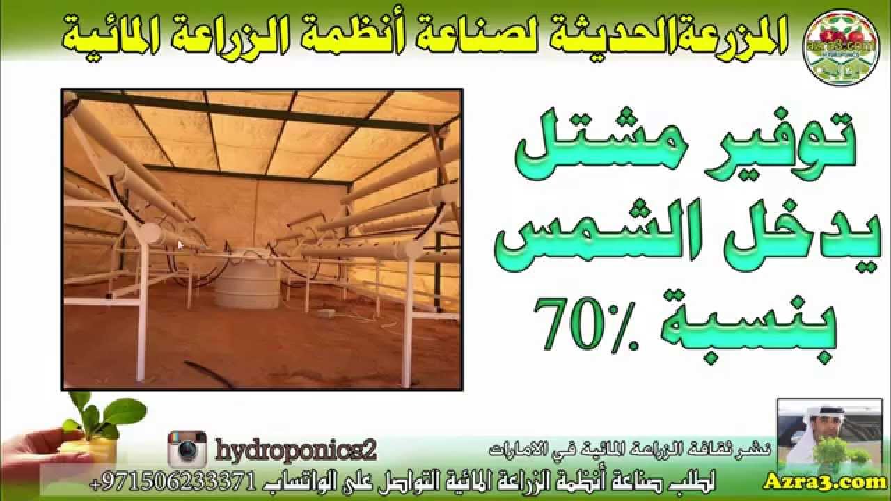 دروس ومحاضرات عن إحتراف الزراعة المائية في الامارات/سيف علي الشامسي