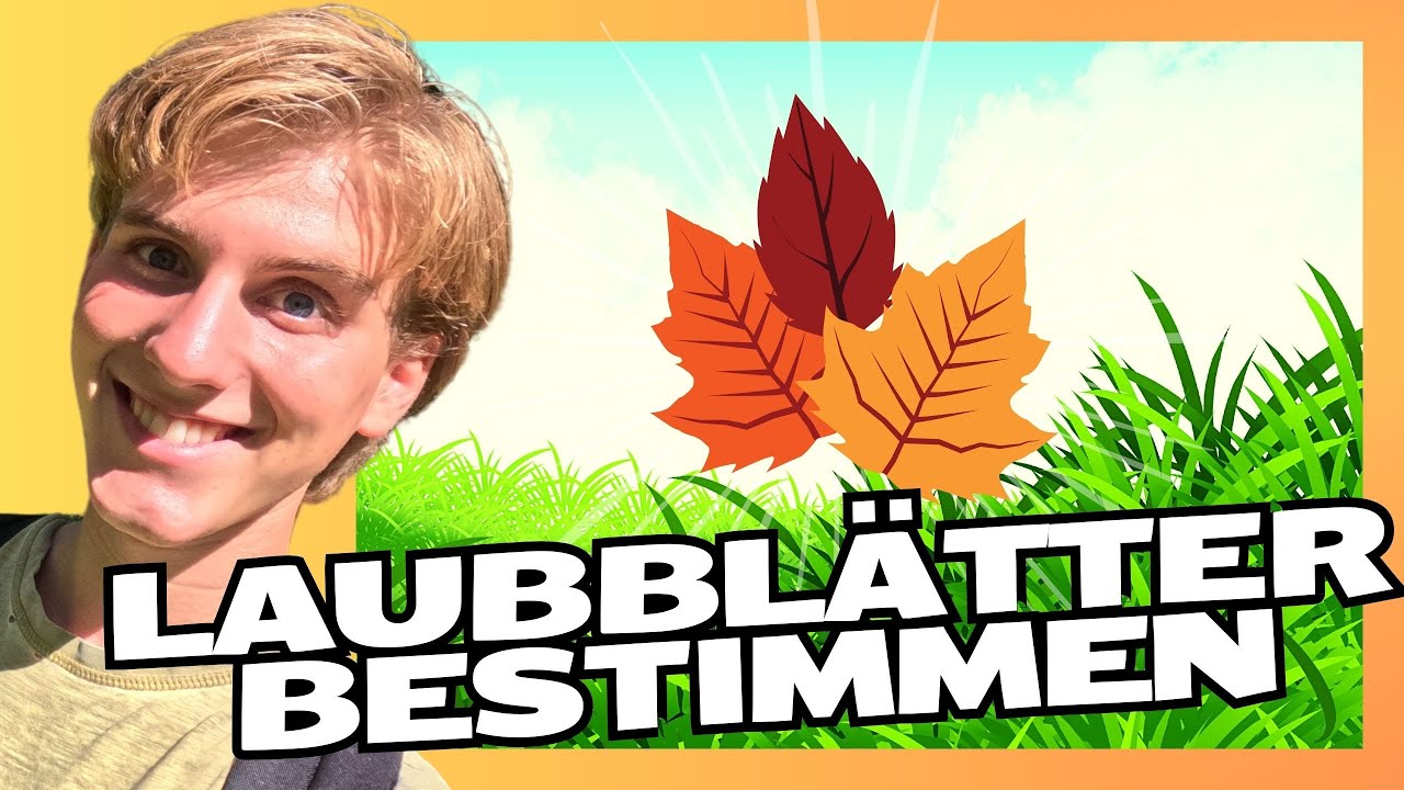 Diese Laubbl&auml;tter MUSST du bestimmen k&ouml;nnen!