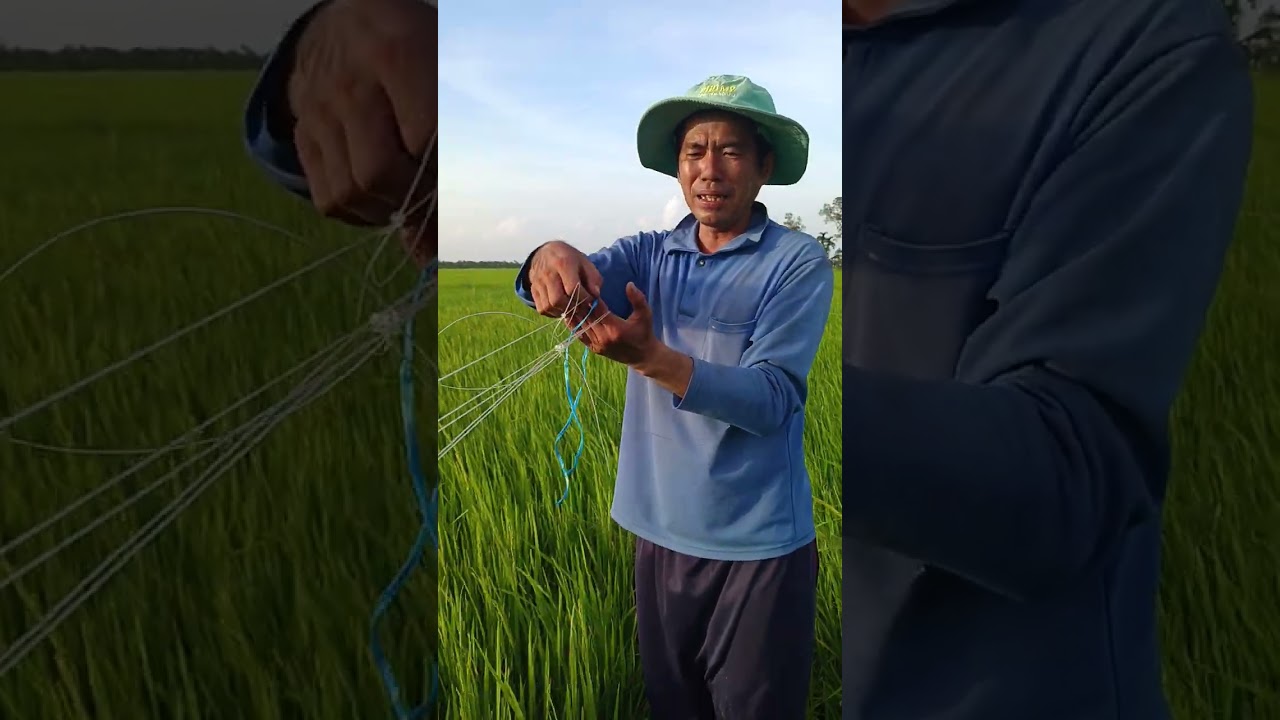 Hướng dẫn cách ra lưới phen chuẩn bị cho mùa vụ mới.