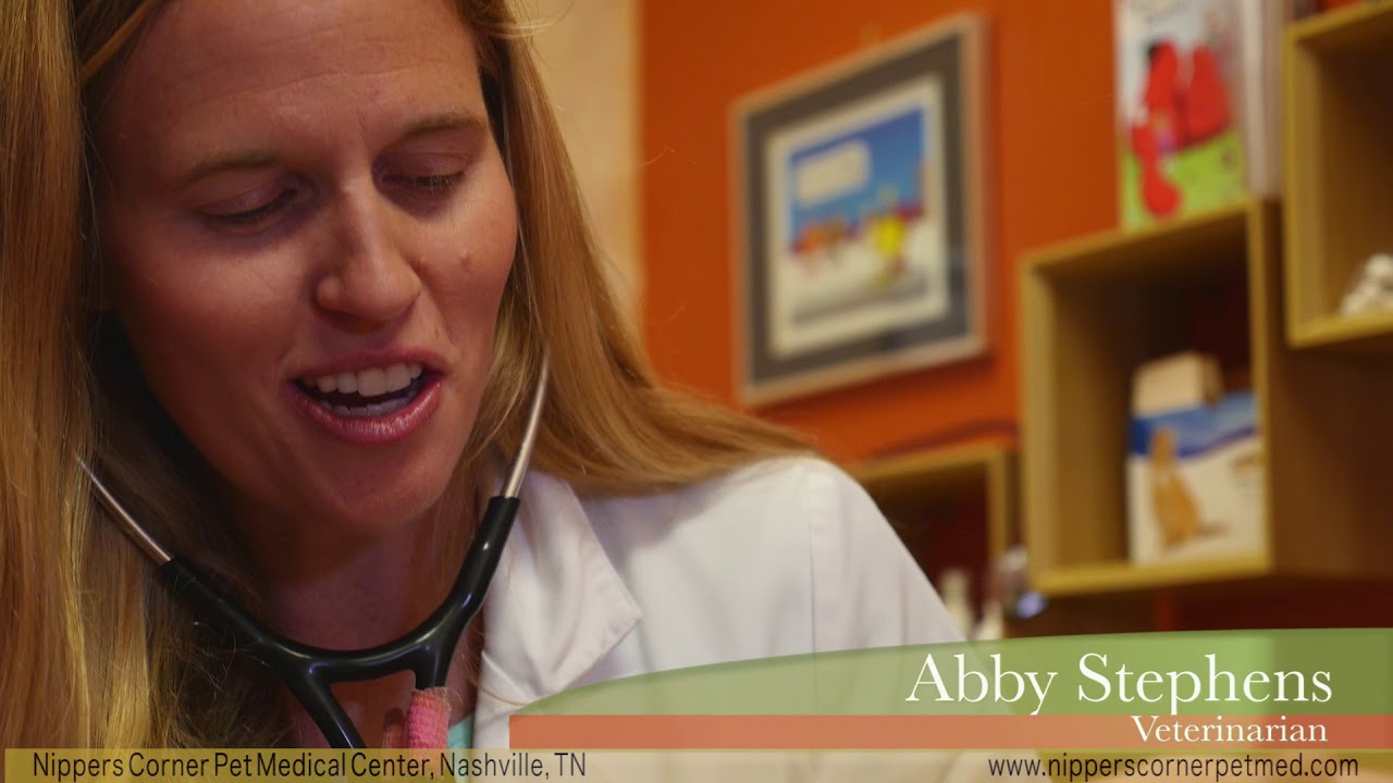 Nippers Corner Pet Medical Center (Promo Video)