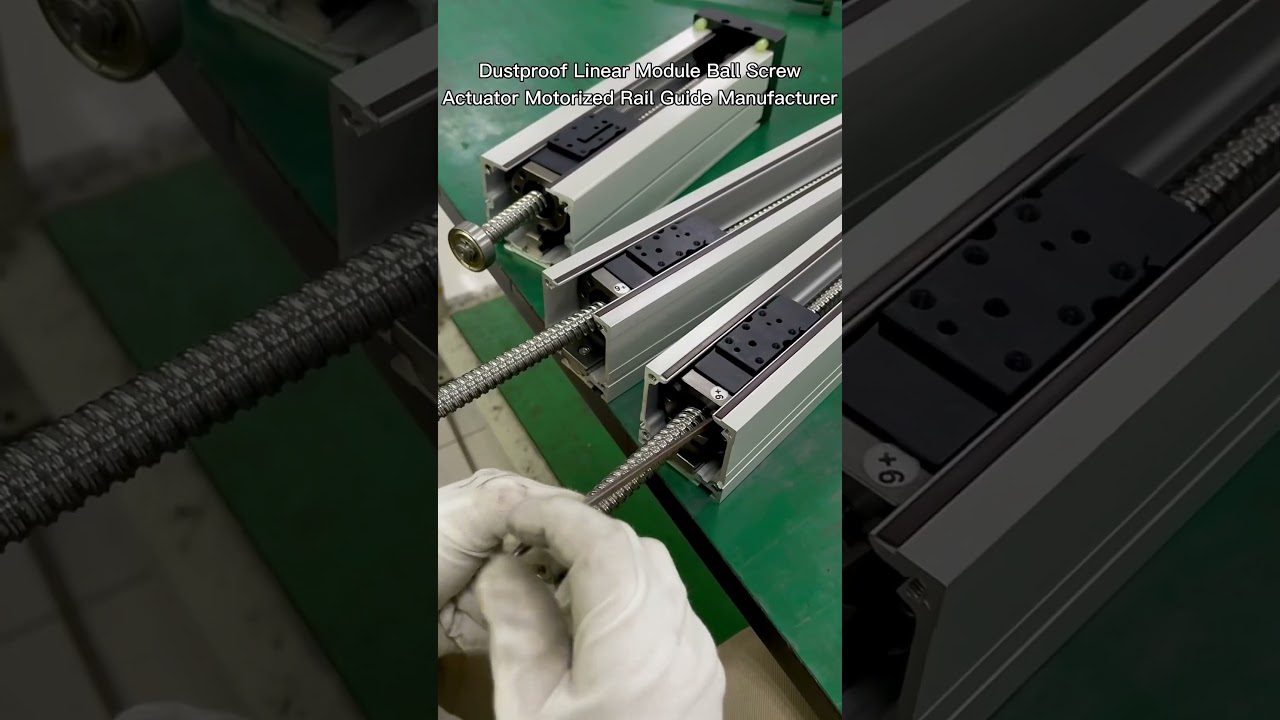 Assembly Live - Dustproof Linear Module Ball Screw Actuator Motorized Rail Guide Manufacturer 