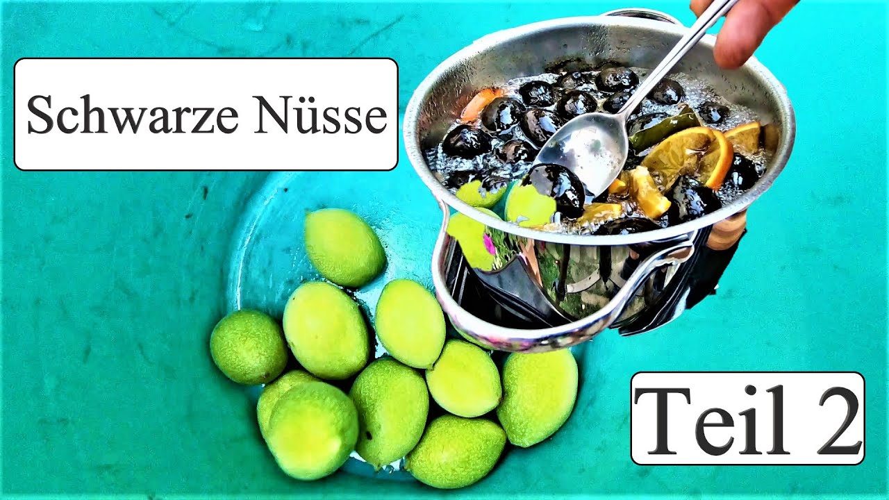 Schwarze Nüsse Teil 2