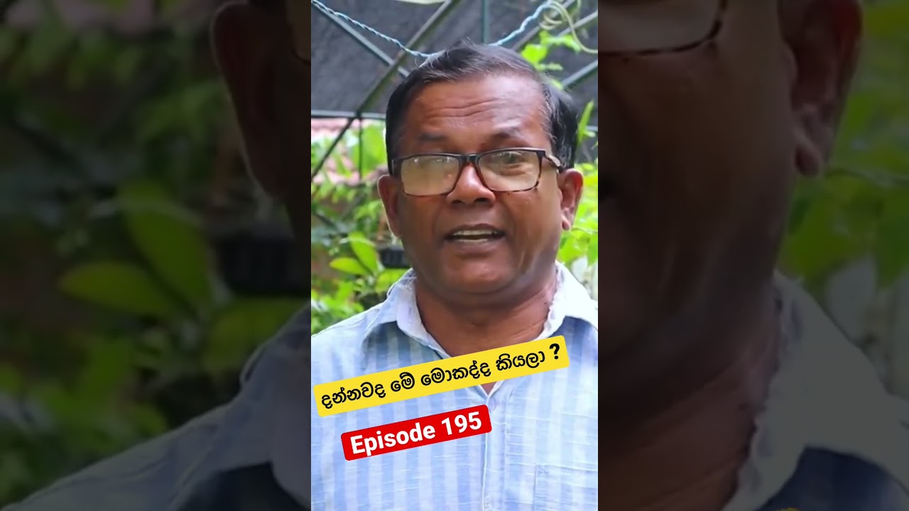 නිවැරදිව මේ ශාකය නම් කර, රු. 500/= වටිනා කැමතිම පැලයක් දිනා ගන්න