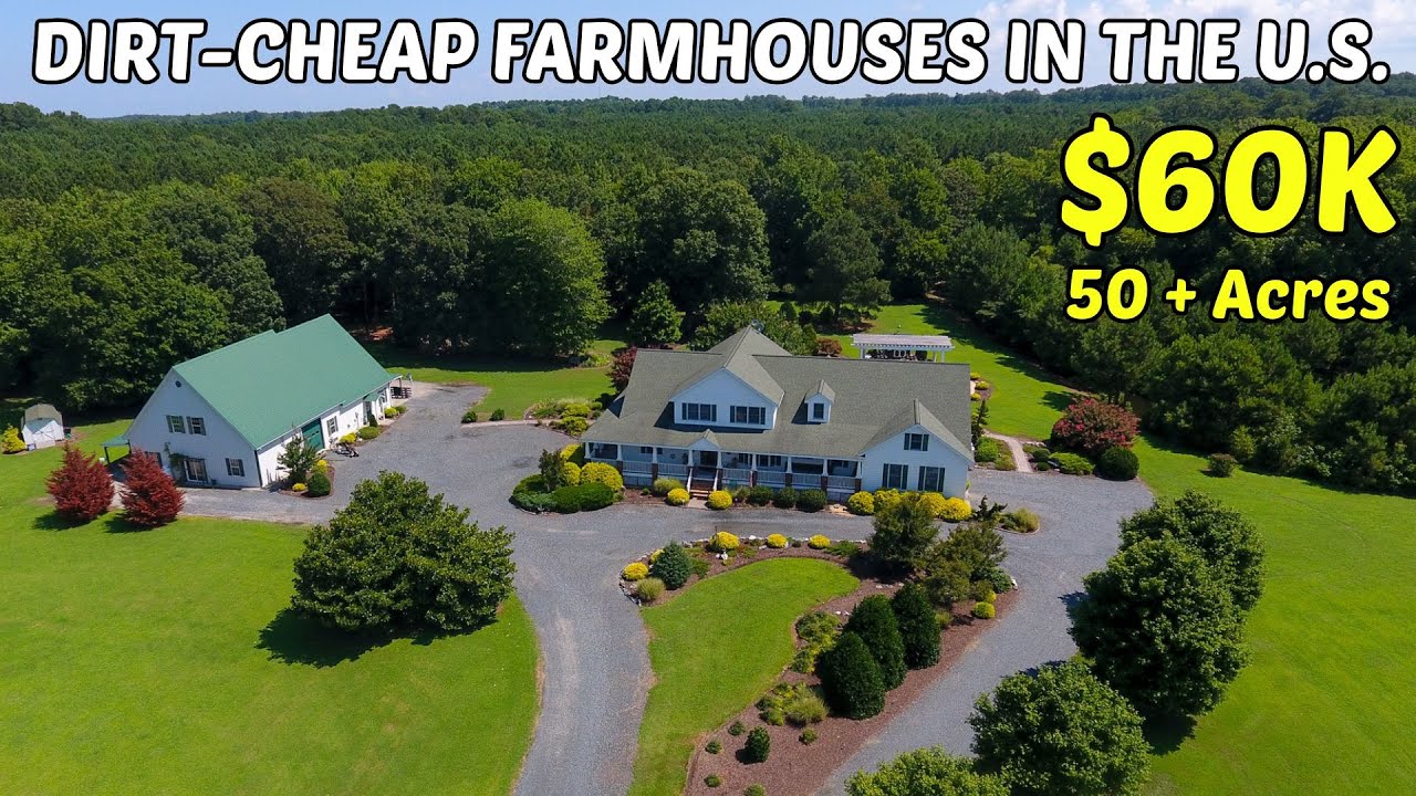 Dirt-Cheap West Virginia Farmhouses with A LOT of LAND 🏡 Hidden Real Estate Gems you can buy Now!