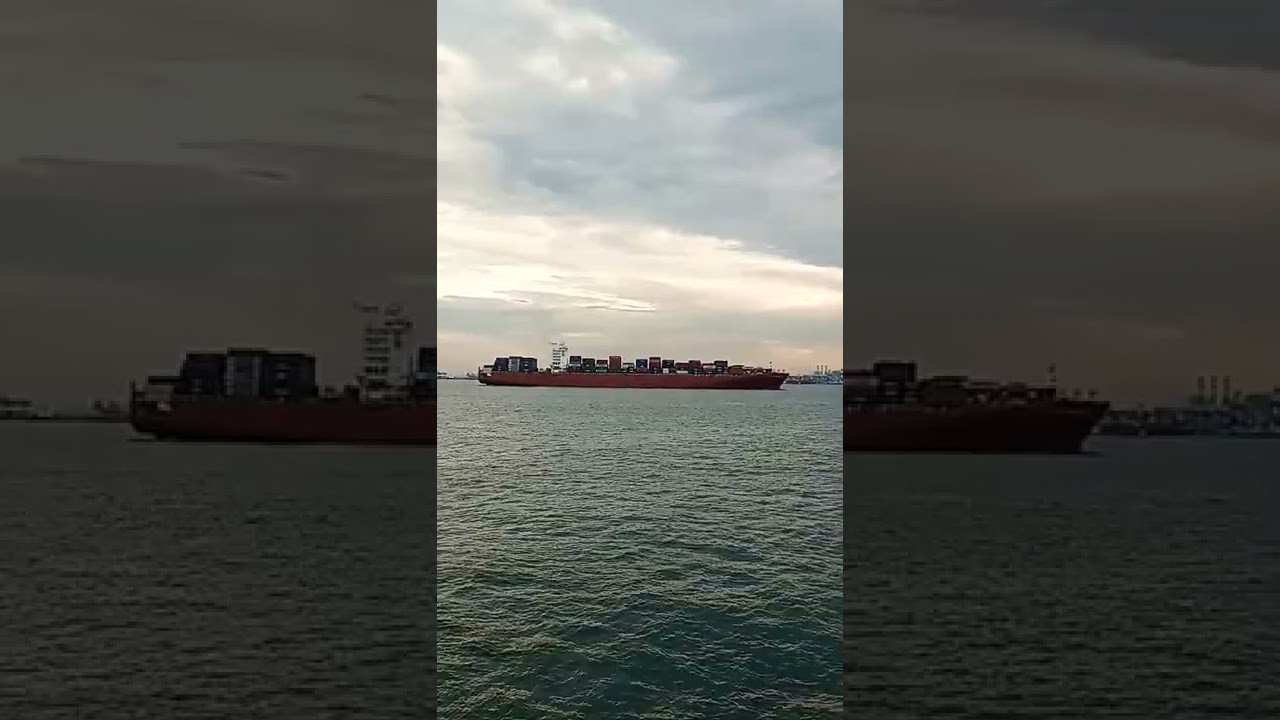 Gulf Bridge 🛳🚢  #container #shipping #shorts #biggest #largest #merchant #sea