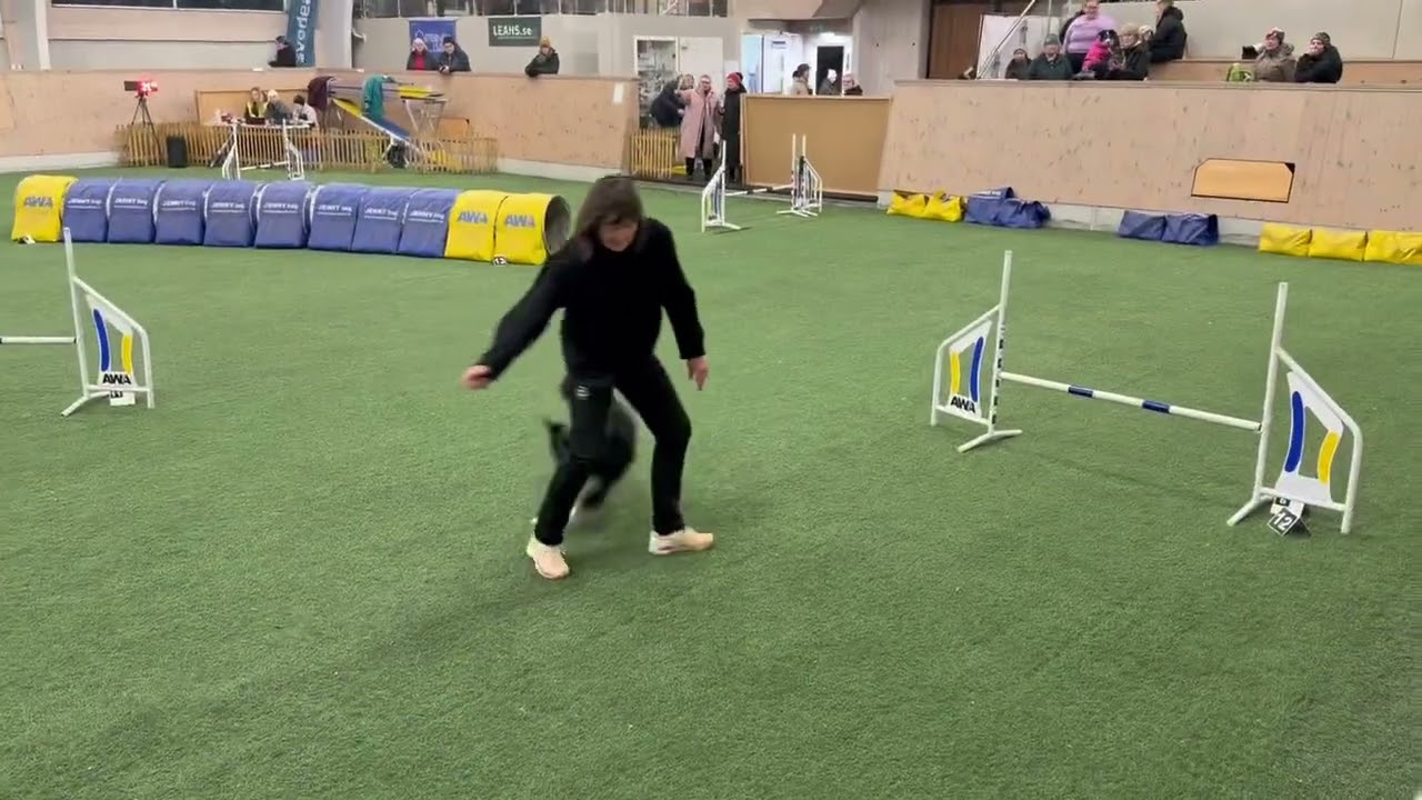 Bob and Ditte competing - January 29, 2026