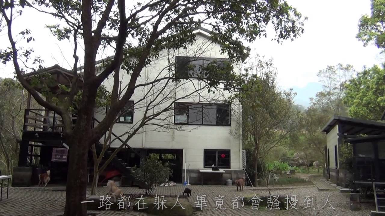《我的山居動物同伴們》作者 朱天衣 老師 專訪