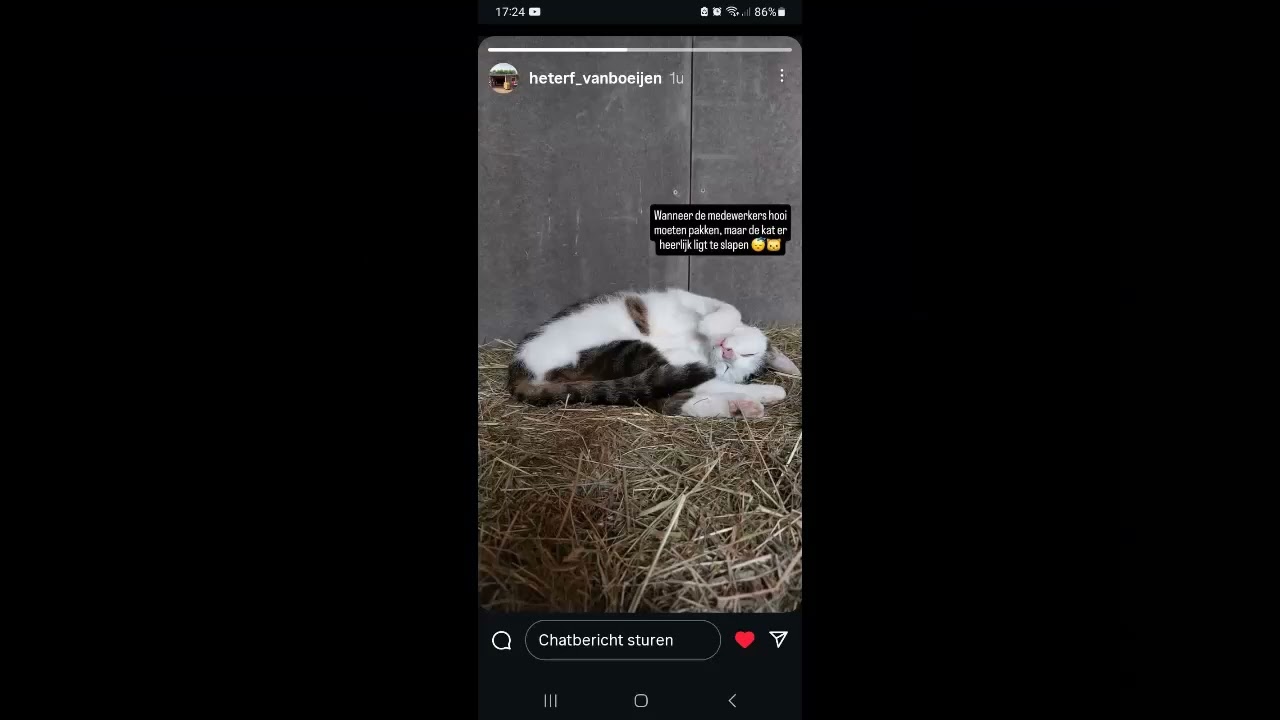 Welkom bij de kinderboerderij het erf oosterboer Meppel  volg op instagram kinderboerderij het erf