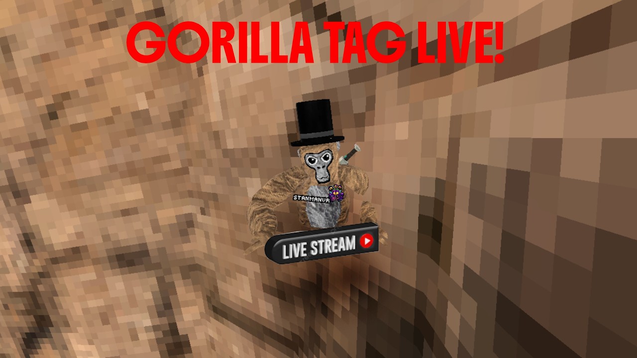 Playing Gtag LIVE🔴!!!!!