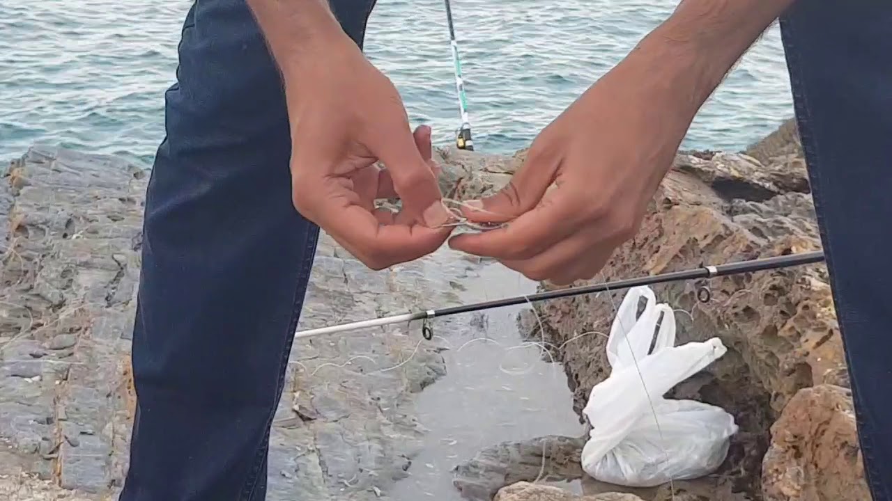 طريقة سهلة و اقتصادية لجلب سمك الشرغو العملاق الى المصيد (الرشان)   Cane fishing      Pesca de caña