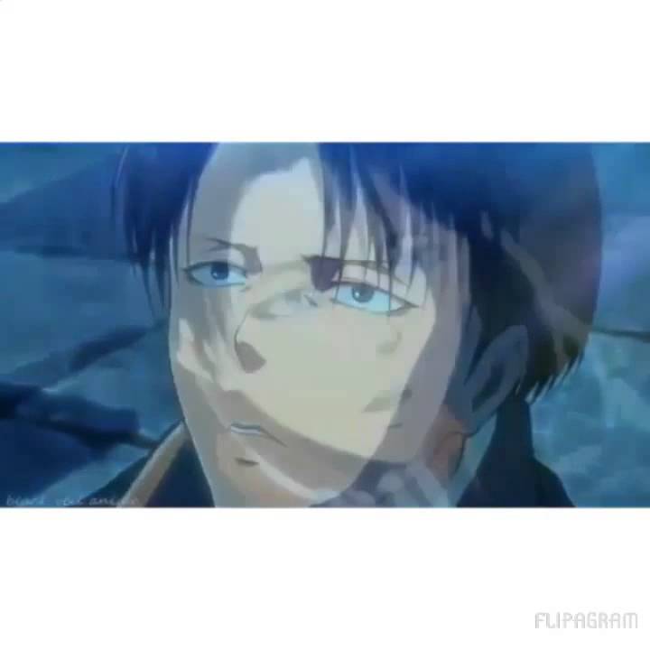 🌺Attack On Titan Vines/Edits
