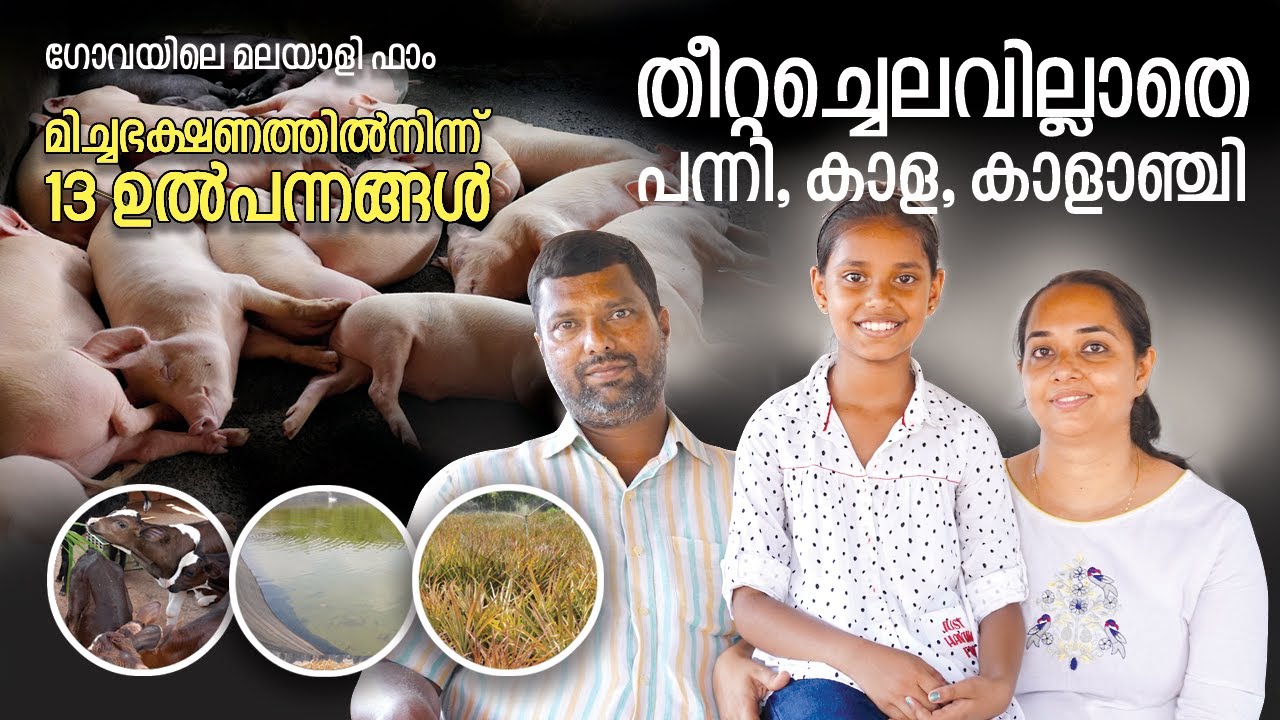 സ്റ്റാർ ഹോട്ടലുകളിലെ മിച്ചഭക്ഷണത്തിൽനിന്ന് 13 ഉൽപന്നങ്ങൾ, തീറ്റച്ചെലവില്ലാത്ത ഗോവയിലെ മലയാളി ഫാം